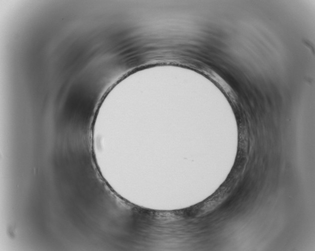 X0000091540807200708171009