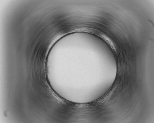 X0000091540808200708171009