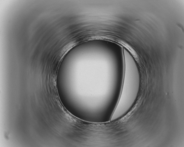 X0000091540809200708171009