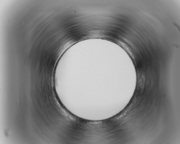 X0000091540810200708171009
