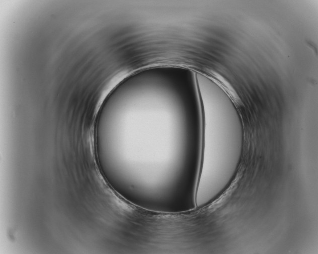 X0000091540812200708171009