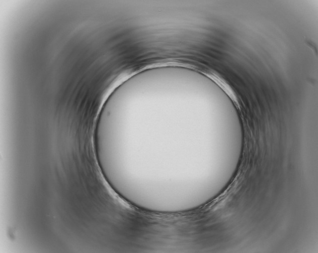 X0000091540813200708171009