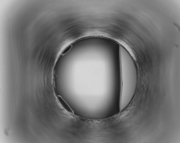 X0000091540815200708171009