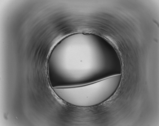 X0000091540816200708171009