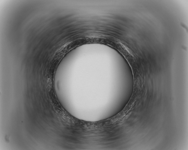 X0000091540821200708171008