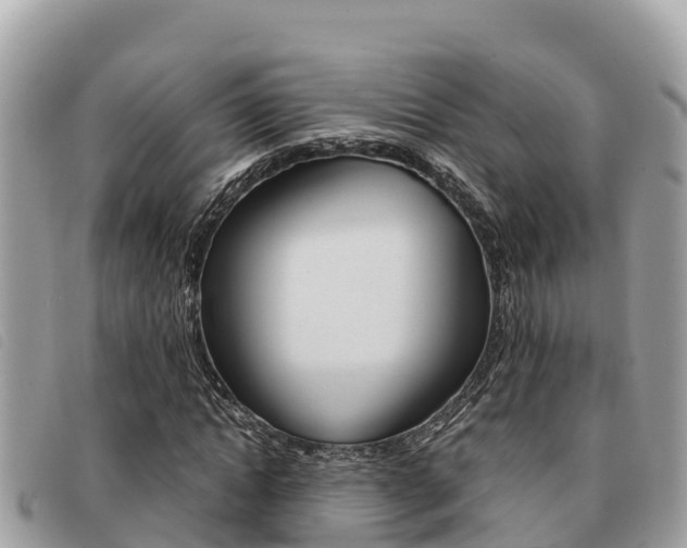 X0000091540822200708171008