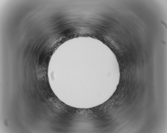 X0000091540824200708171008