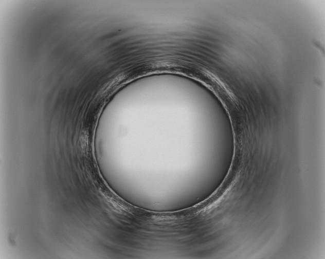 X0000091540825200708171008