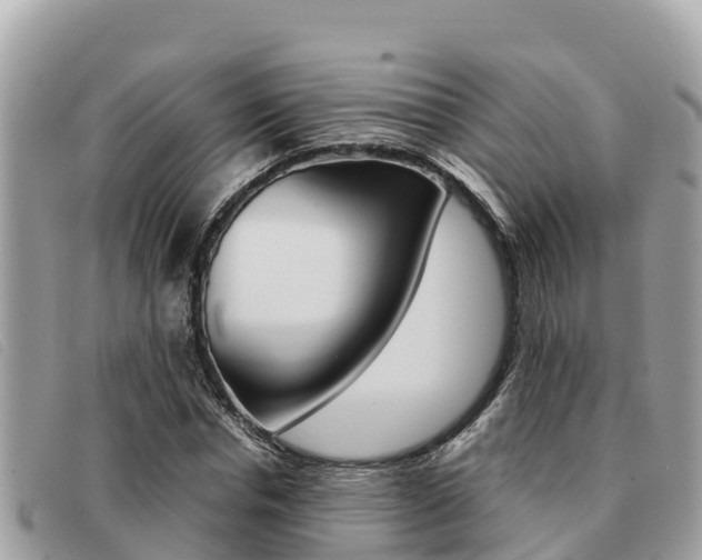 X0000091540826200708171008