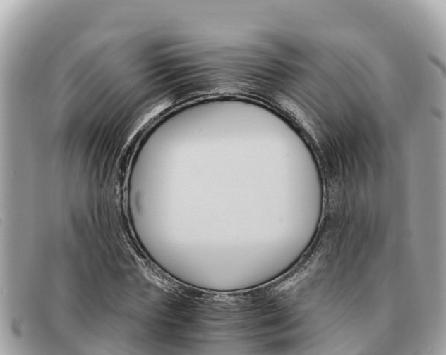 X0000091540827200708171008