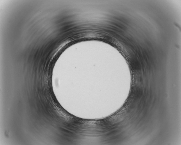X0000091540828200708171008