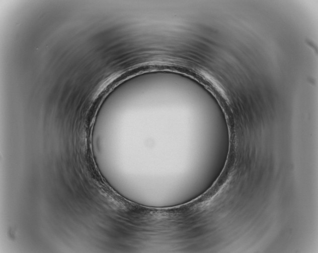X0000091540829200708171008
