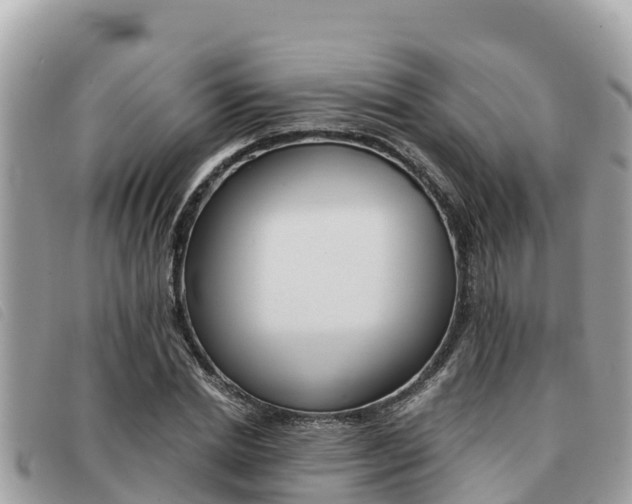 X0000091540830200708171008