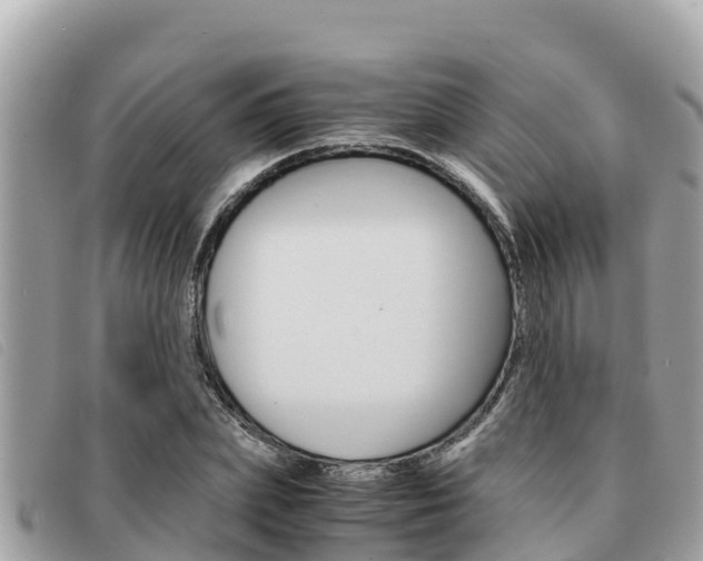 X0000091540831200708171008