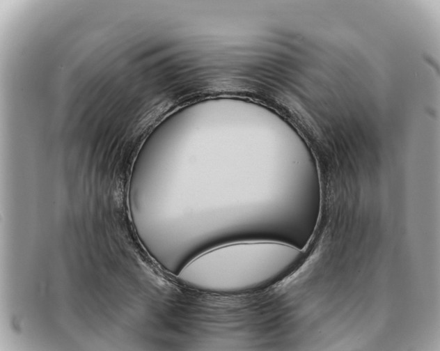 X0000091540833200708171008