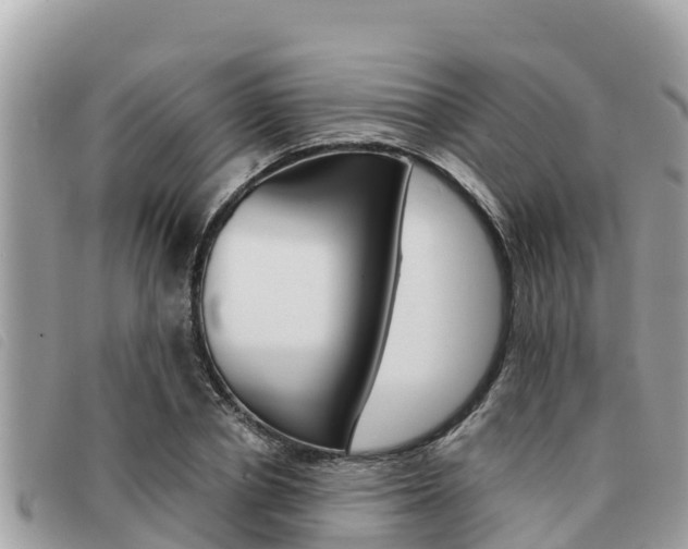 X0000091540834200708171008