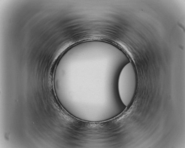 X0000091540835200708171008