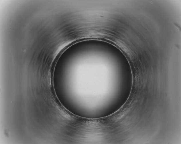 X0000091540838200708171008