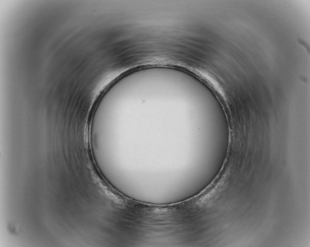 X0000091540839200708171008