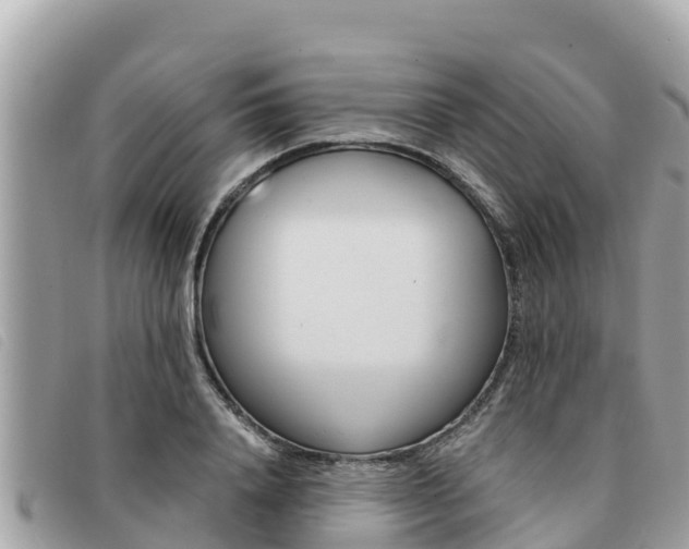 X0000091540840200708171008