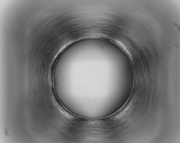 X0000091540843200708171009