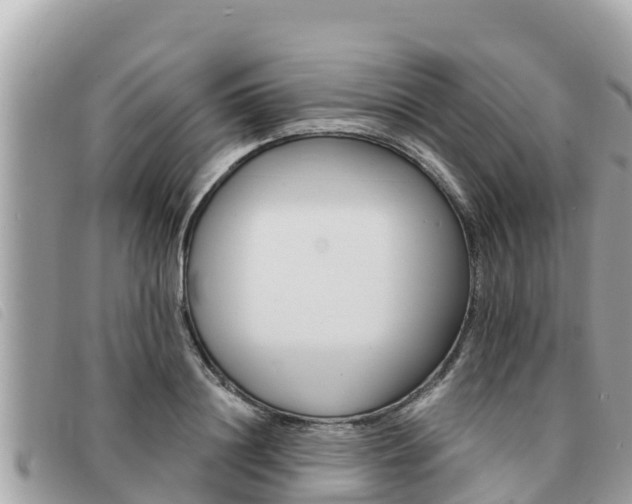 X0000091540844200708171009