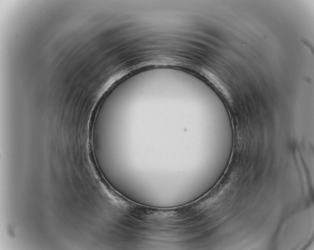 X0000091540845200708171009