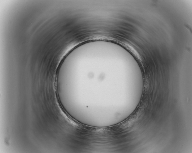 X0000091540847200708171009