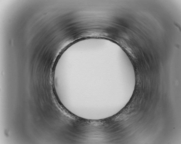 X0000091540848200708171009
