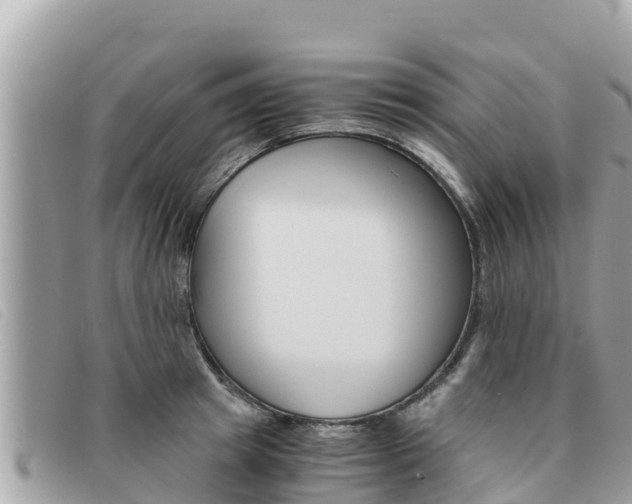 X0000091540849200708171009