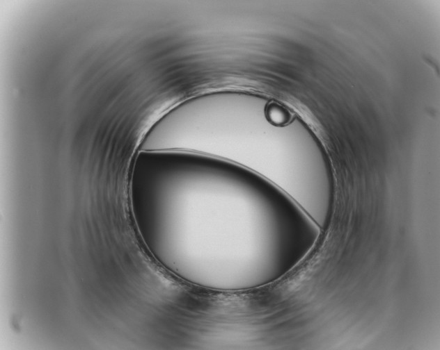 X0000091540850200708171009