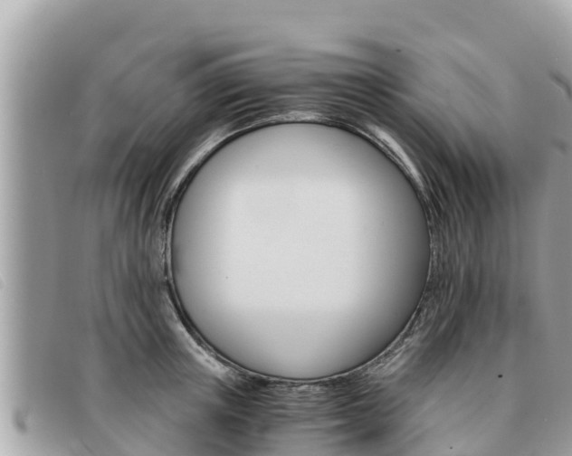 X0000091540851200708171009