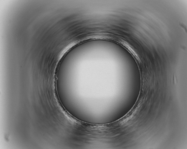 X0000091540853200708171009