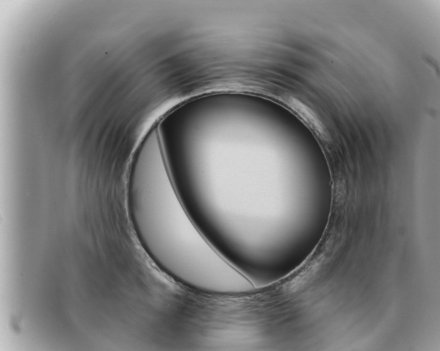 X0000091540854200708171009