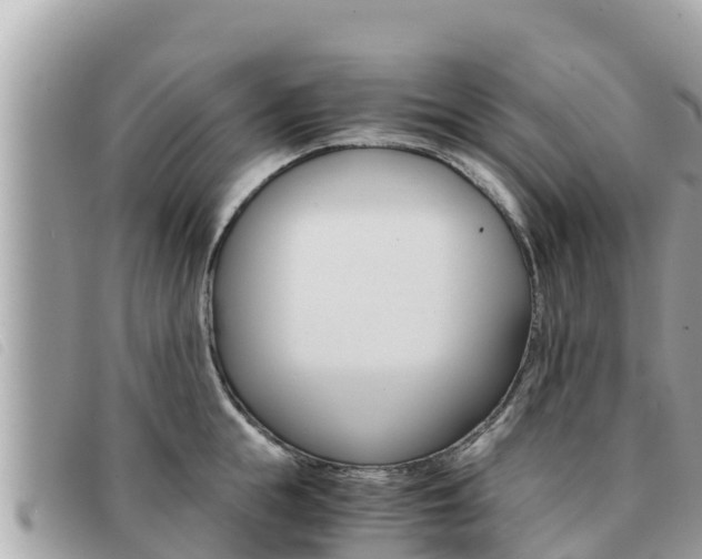 X0000091540855200708171009