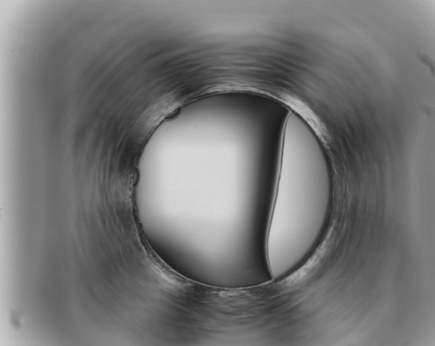 X0000091540857200708171009