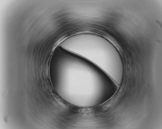X0000091540858200708171009