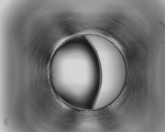 X0000091540862200708171009