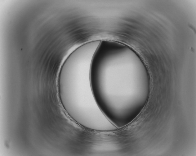 X0000091540864200708171009