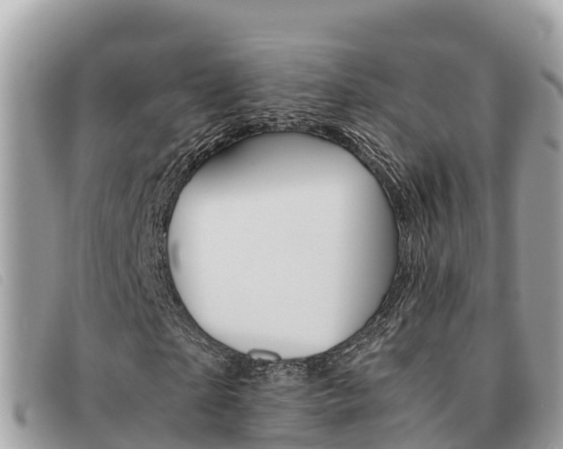 X0000091540865200708171008
