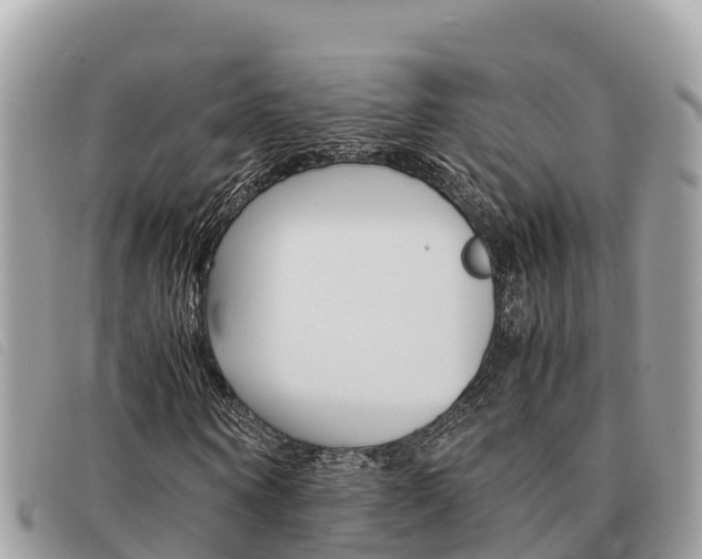 X0000091540866200708171008