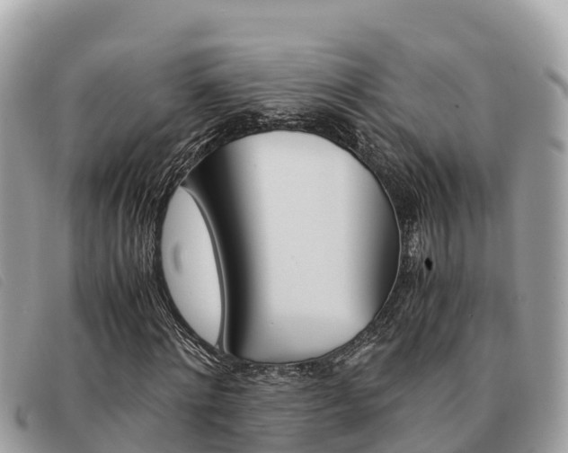 X0000091540868200708171008