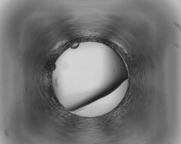 X0000091540869200708171008