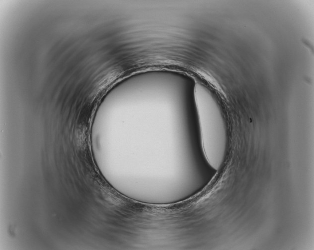X0000091540873200708171008