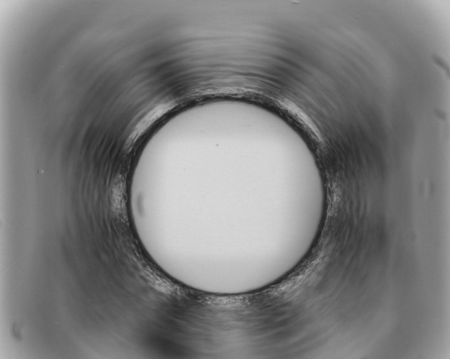 X0000091540874200708171008