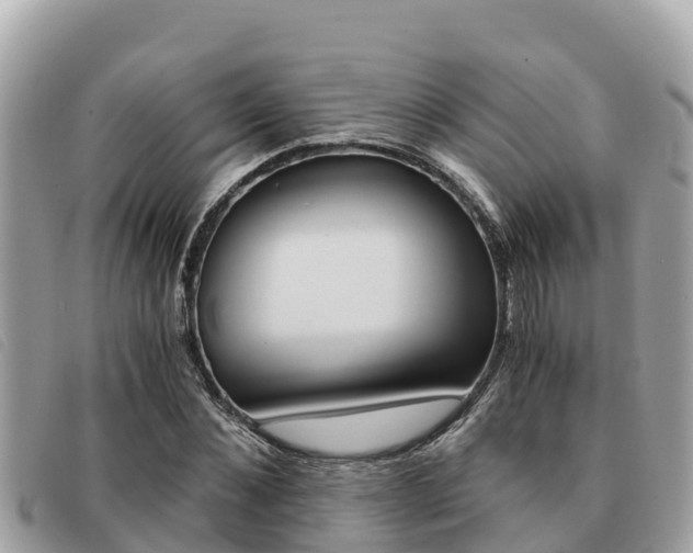 X0000091540876200708171008