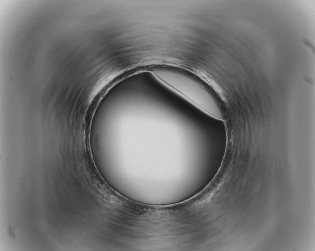 X0000091540877200708171008