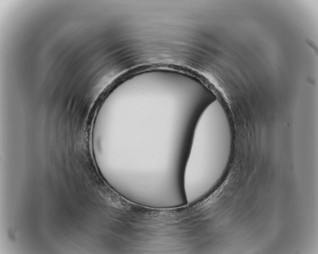 X0000091540879200708171008