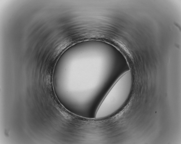 X0000091540881200708171008