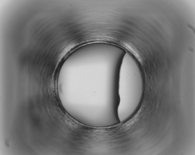 X0000091540883200708171008